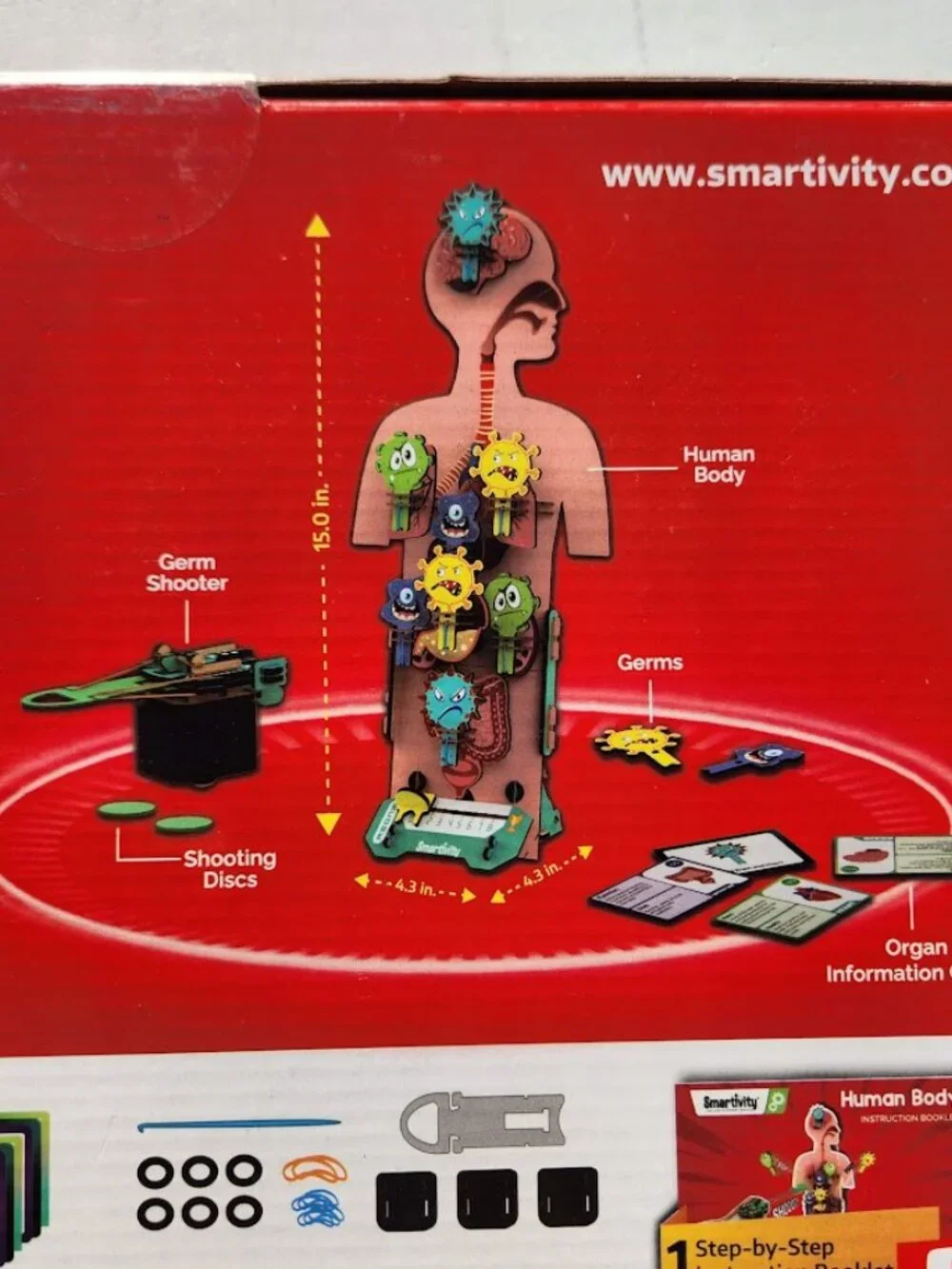 New Smartivity Human Body DIY Stem Kit Set Science Experiment Anatomy Biology 3D